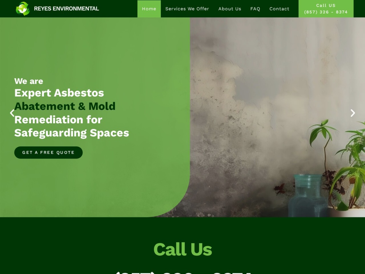 Screenshot preview for reyesenvironmental.com